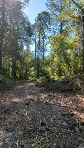 SW 126th Ave, Lake Butler Lake Butler FL 32054