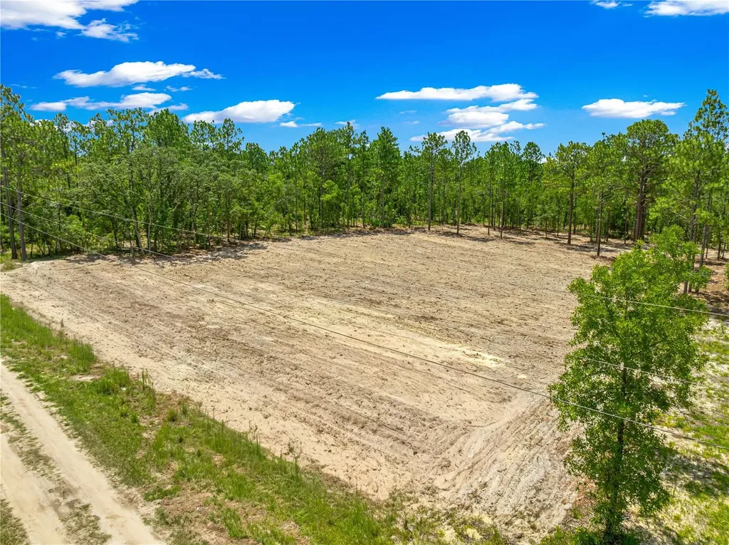 Tbd SW 90 Place Dunnellon FL 34432