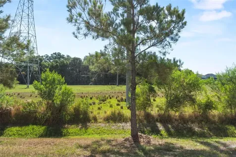 7046 Grand Elm Drive Riverview FL 33578