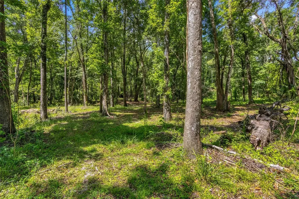 24050 Cortez Boulevard Brooksville FL 34601