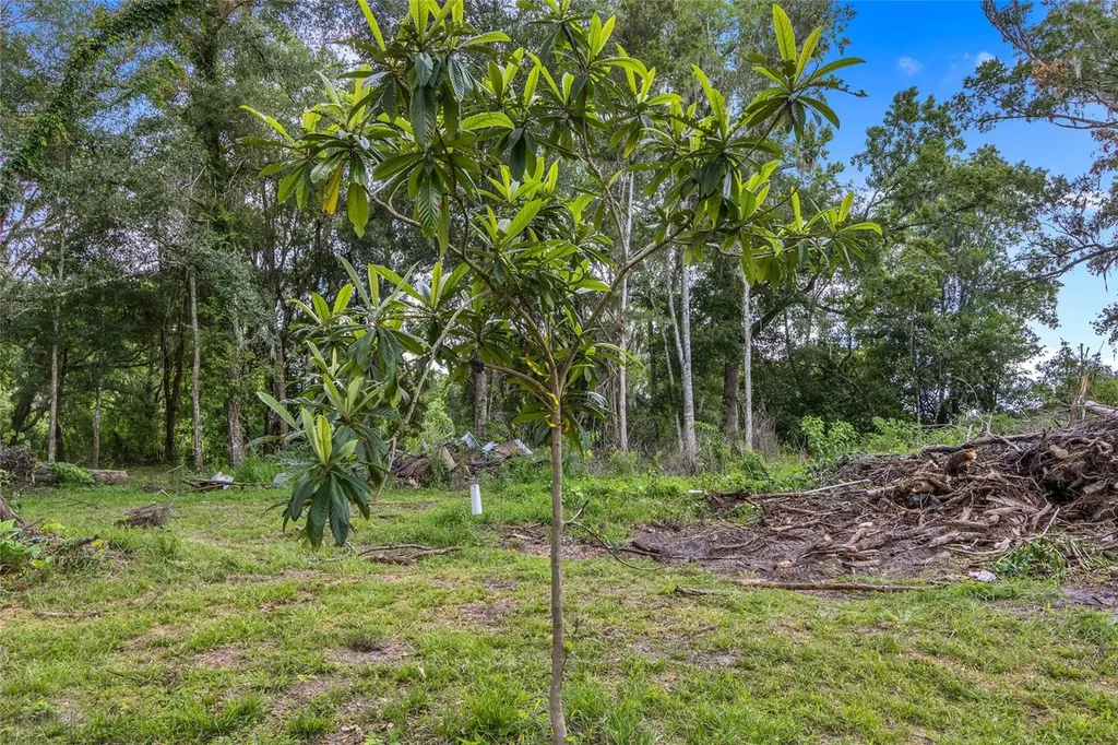 24050 Cortez Boulevard Brooksville FL 34601