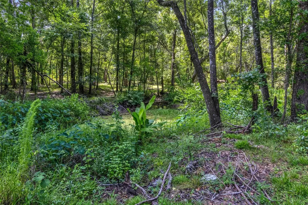 24050 Cortez Boulevard Brooksville FL 34601