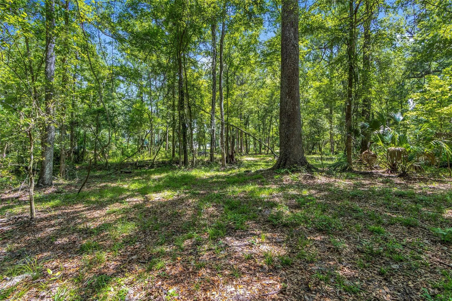 24050 Cortez Boulevard Brooksville FL 34601