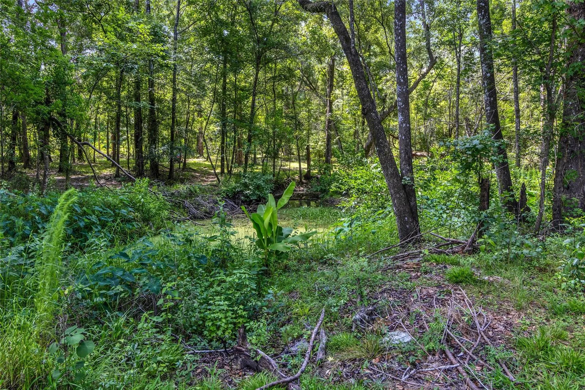 24050 Cortez Boulevard Brooksville FL 34601