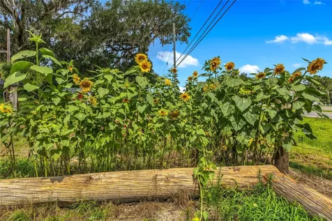 24050 Cortez Boulevard Brooksville FL 34601