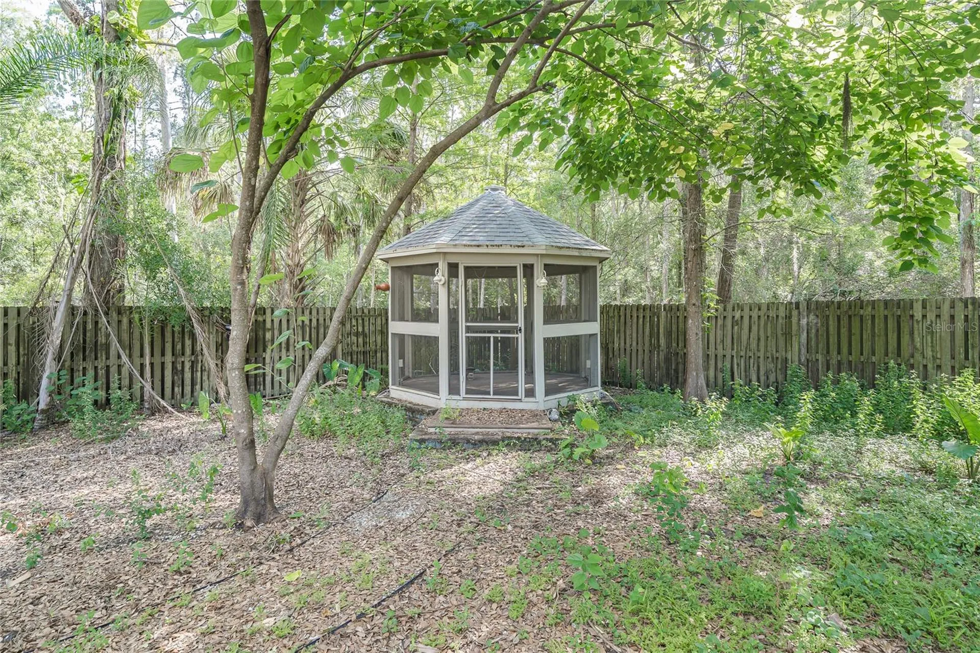 2501 Withy Court Tampa FL 33618