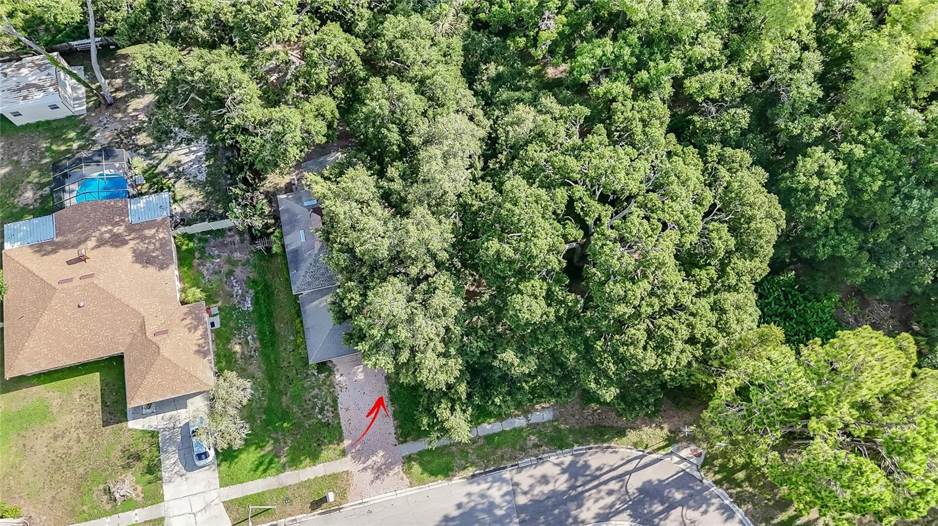 2501 Withy Court Tampa FL 33618