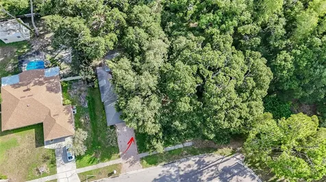 2501 Withy Court Tampa FL 33618