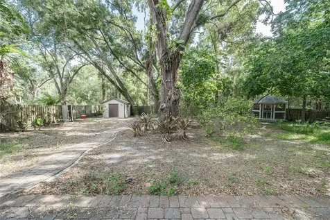 2501 Withy Court Tampa FL 33618