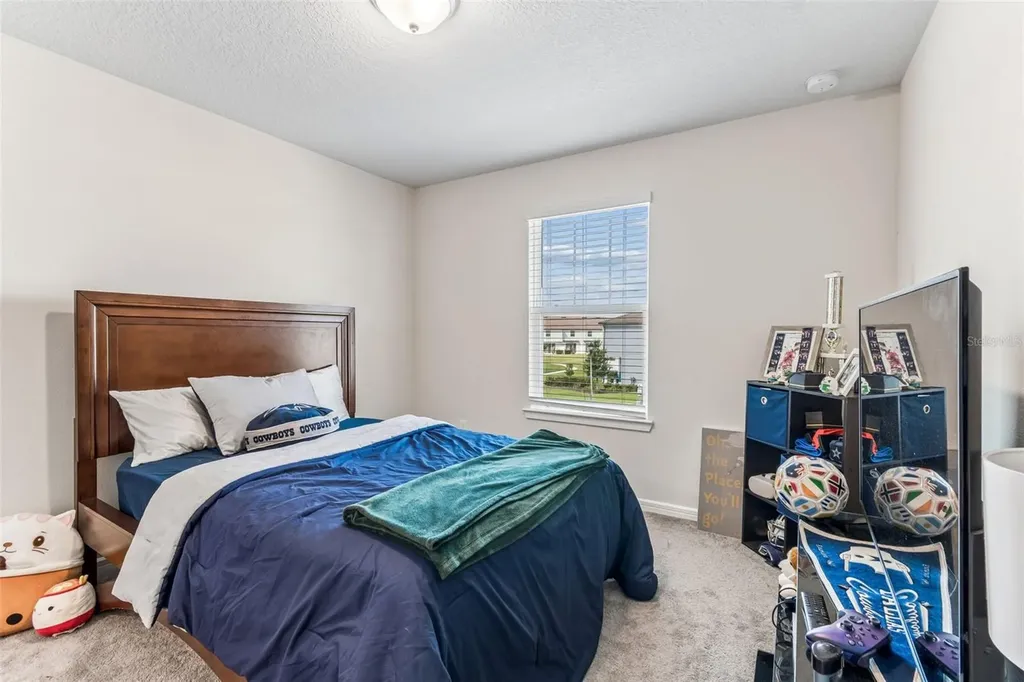 31357 Amberview Bend Wesley Chapel FL 33545