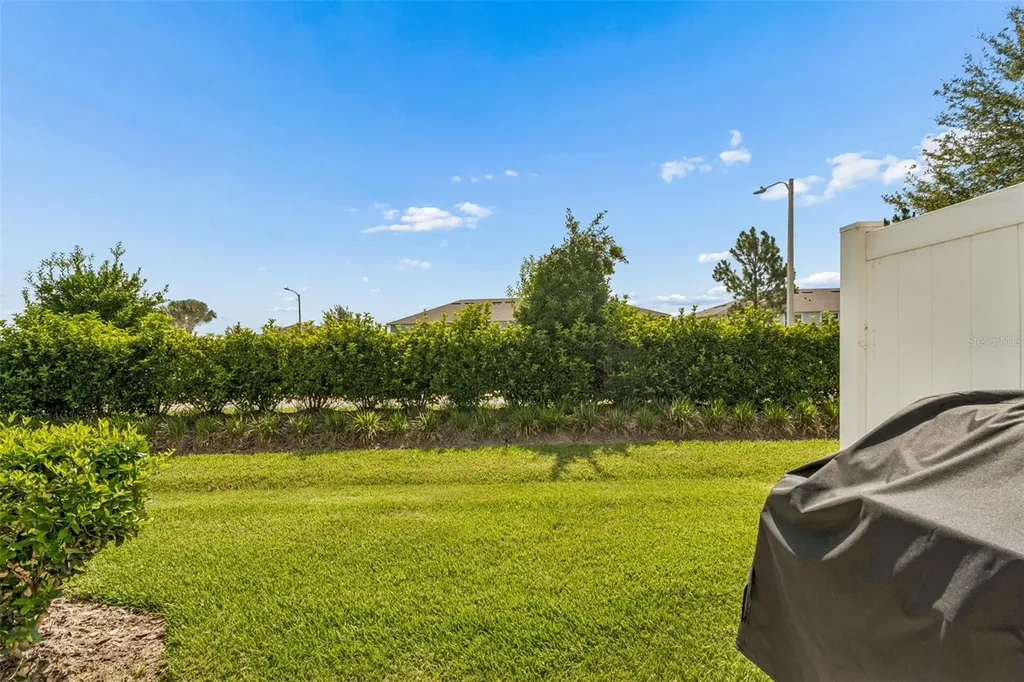 31357 Amberview Bend Wesley Chapel FL 33545