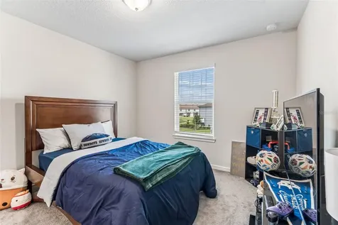 31357 Amberview Bend Wesley Chapel FL 33545