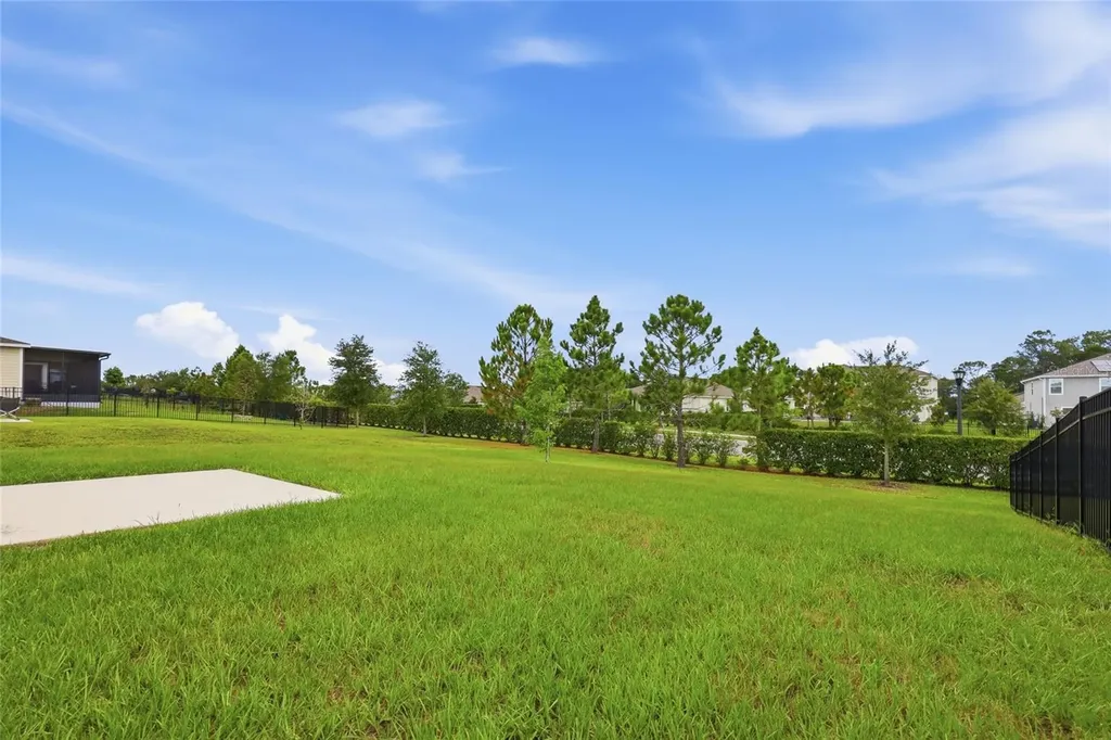 5215 Tanzanite Drive Mount Dora FL 32757