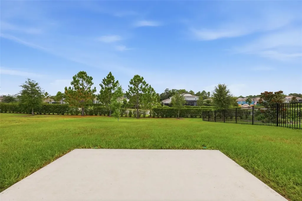 5215 Tanzanite Drive Mount Dora FL 32757