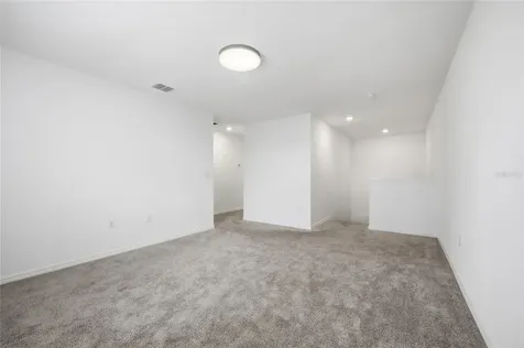 5215 Tanzanite Drive Mount Dora FL 32757