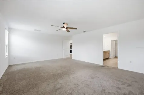 5215 Tanzanite Drive Mount Dora FL 32757
