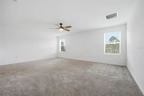 5215 Tanzanite Drive Mount Dora FL 32757