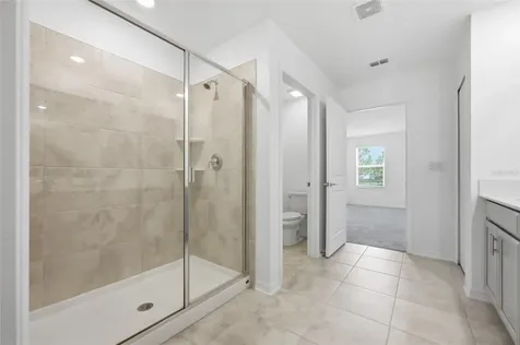 5215 Tanzanite Drive Mount Dora FL 32757