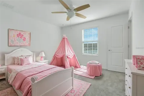 5215 Tanzanite Drive Mount Dora FL 32757