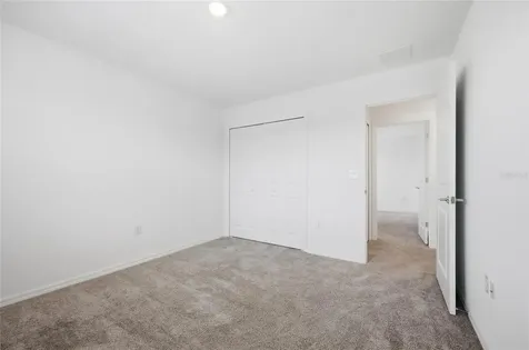 5215 Tanzanite Drive Mount Dora FL 32757