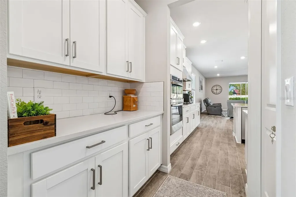 10569 Tranquil Meadow Loop Riverview FL 33569