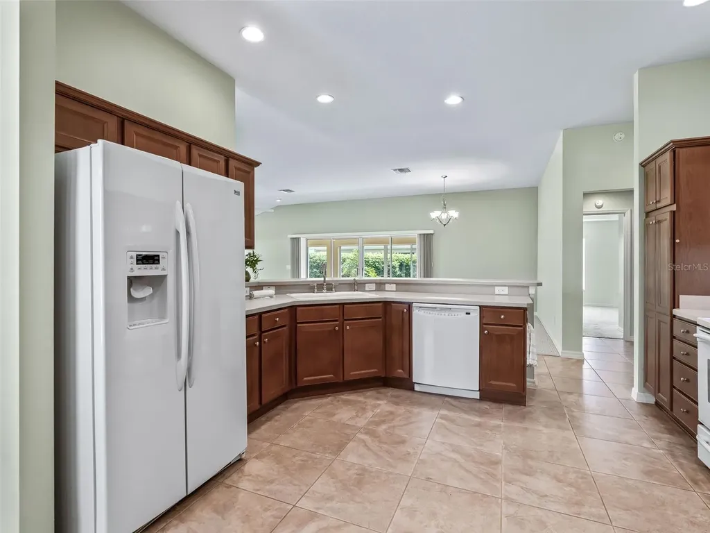2215 Triggerfish Run The Villages FL 32162