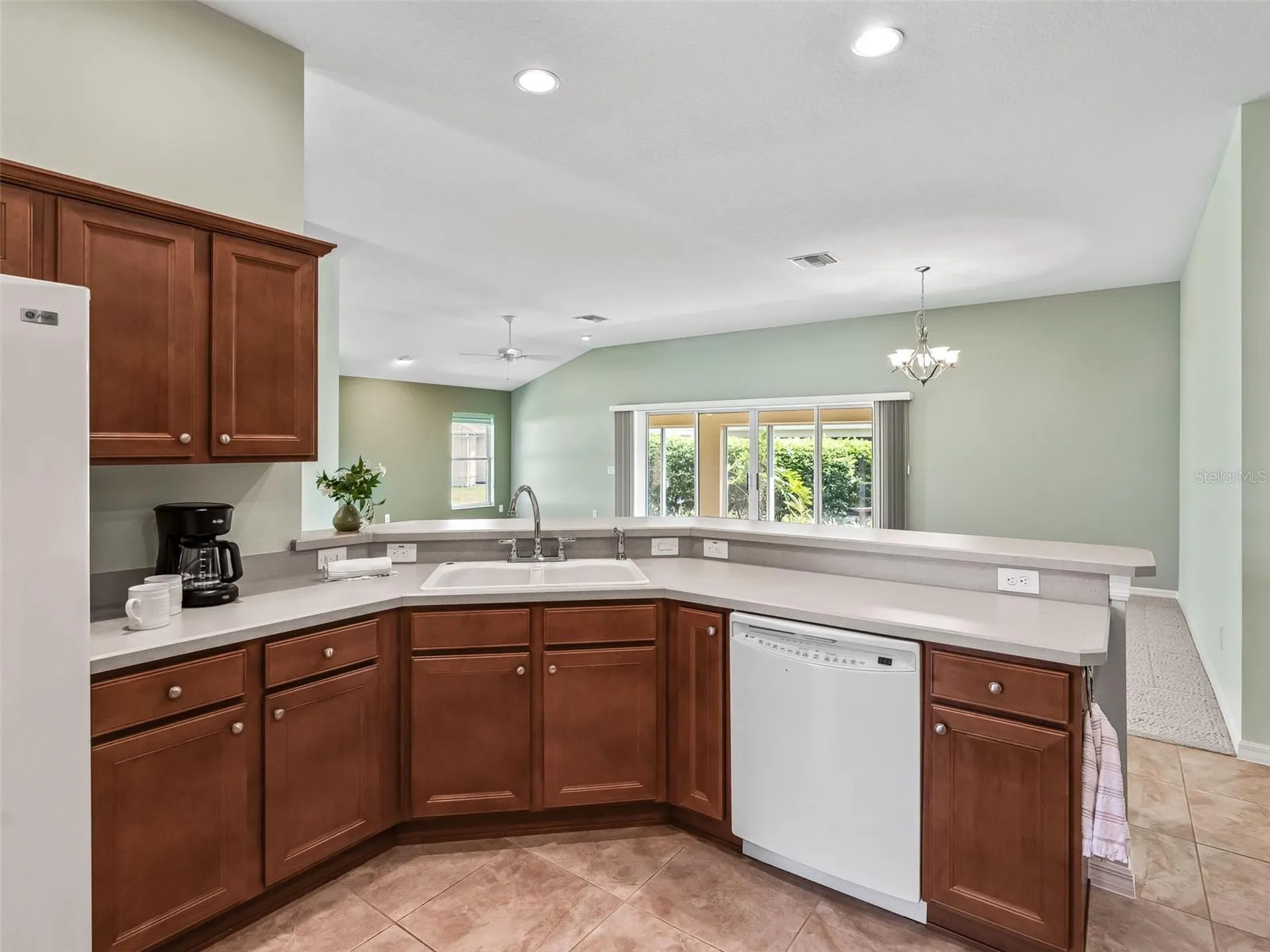 2215 Triggerfish Run The Villages FL 32162