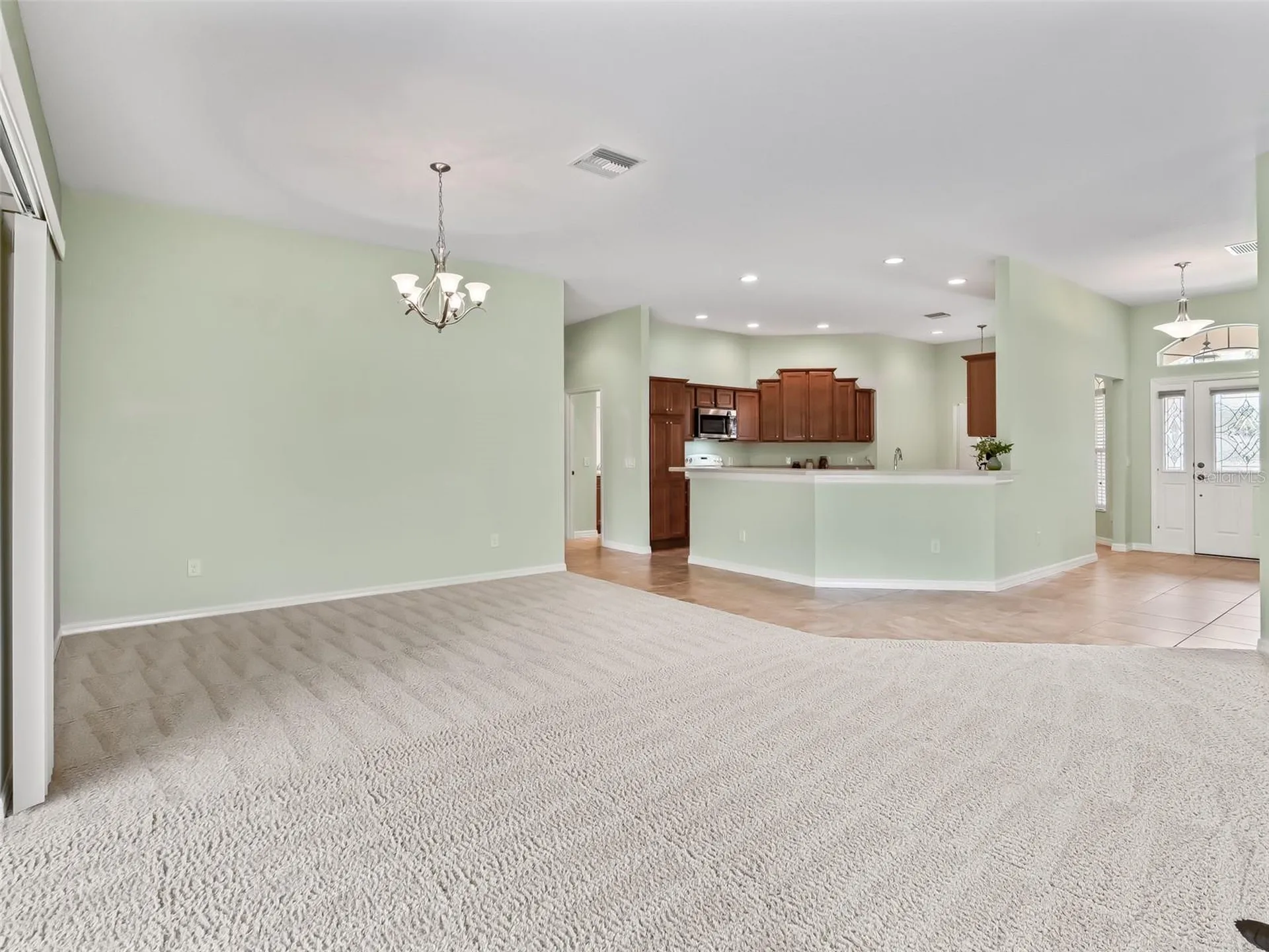 2215 Triggerfish Run The Villages FL 32162