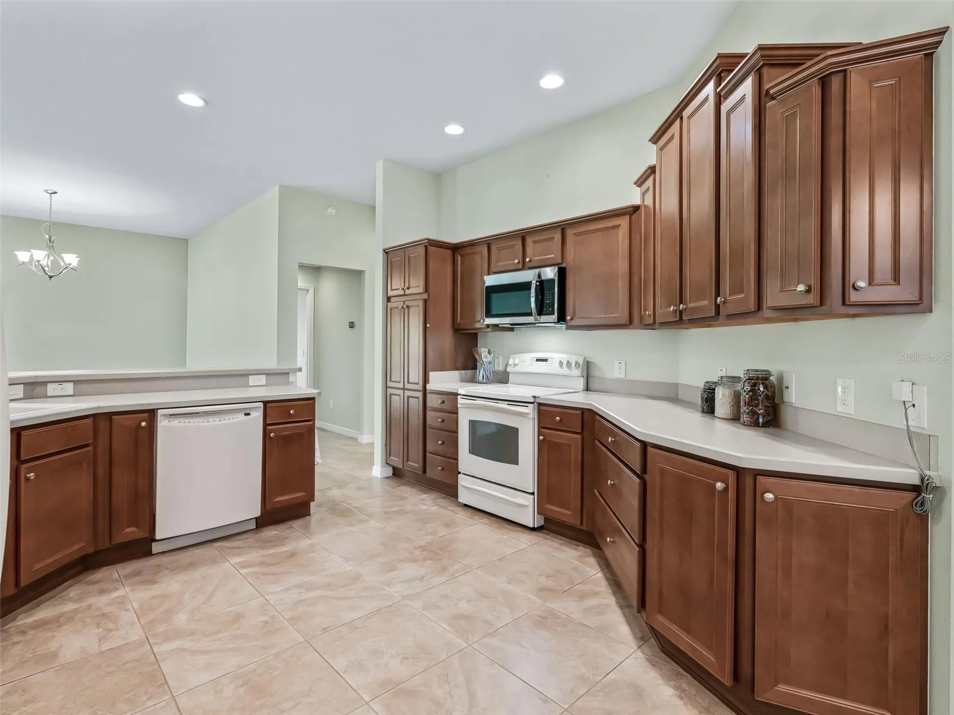 2215 Triggerfish Run The Villages FL 32162