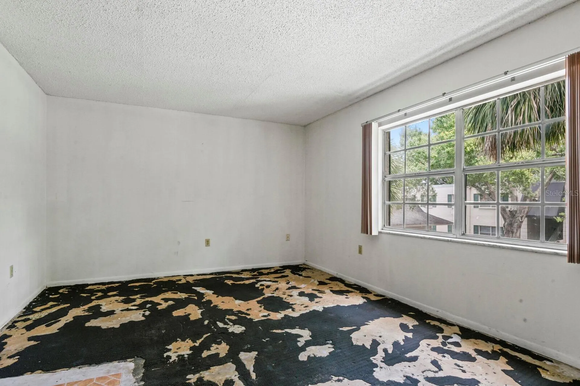 4335 Aegean Drive Tampa FL 33611