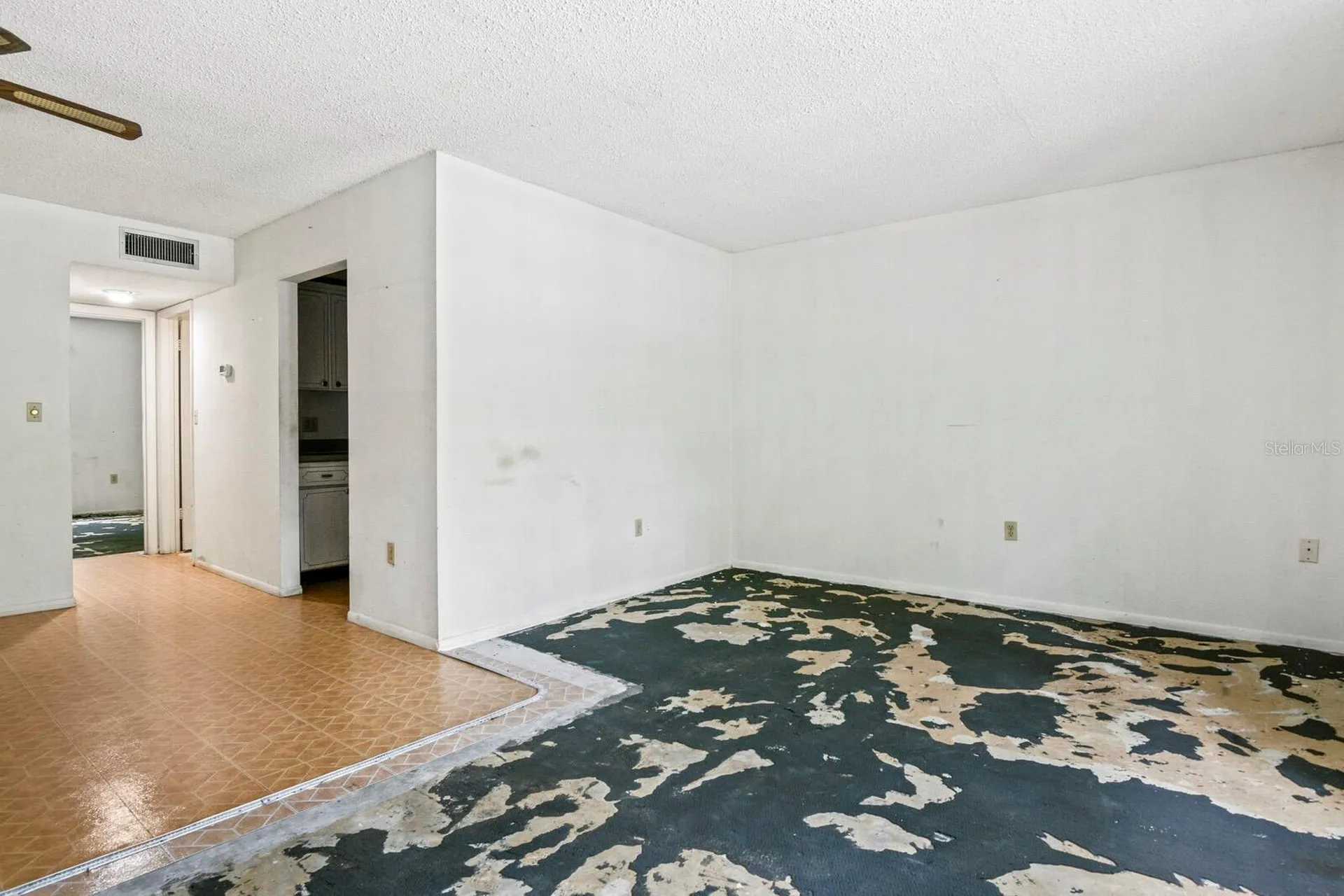 4335 Aegean Drive Tampa FL 33611