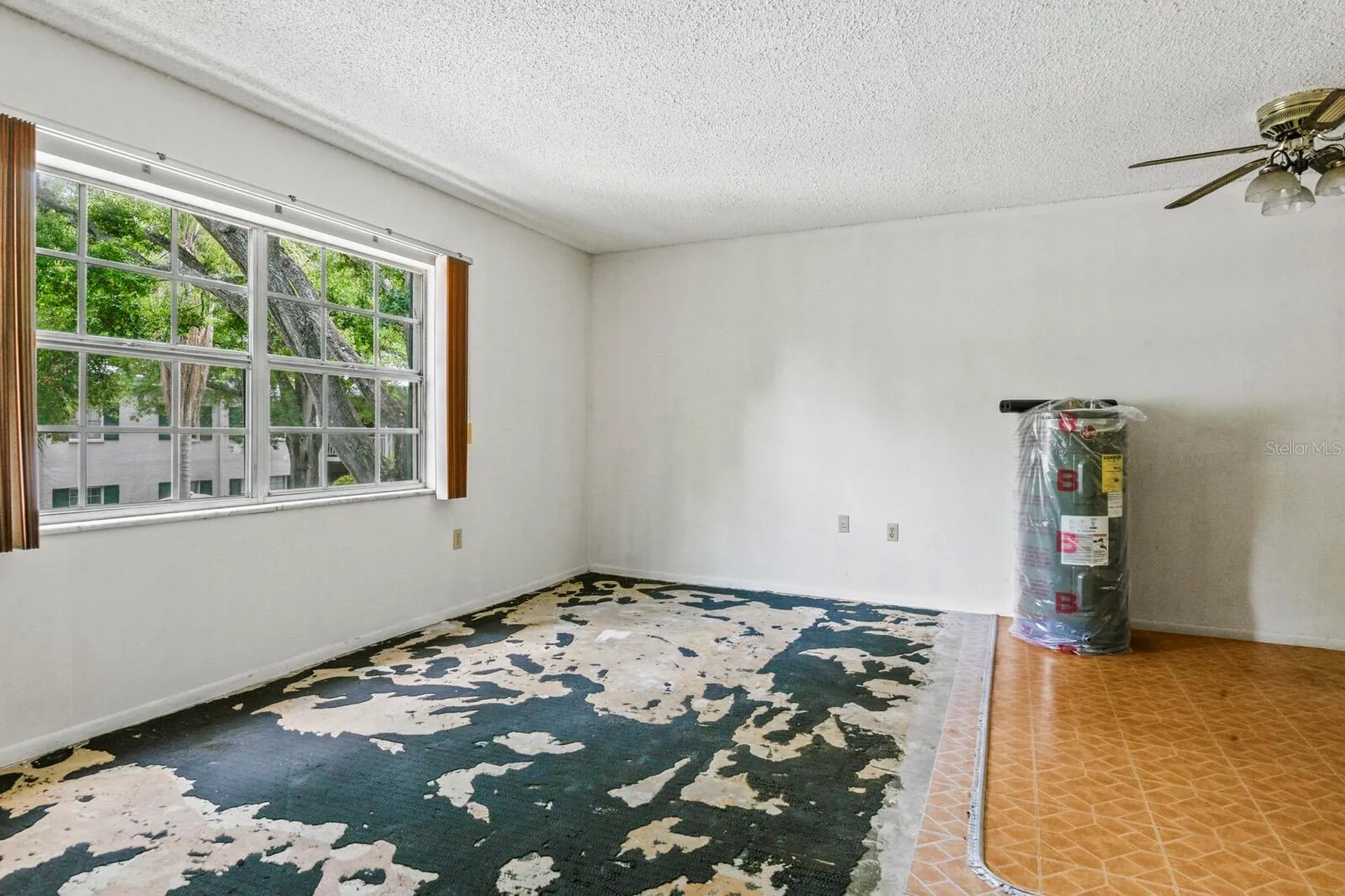 4335 Aegean Drive Tampa FL 33611