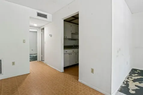 4335 Aegean Drive Tampa FL 33611