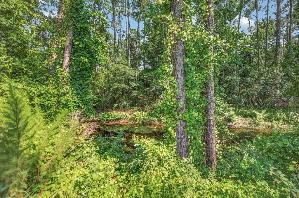 14 Woodworth Drive Palm Coast FL 32164