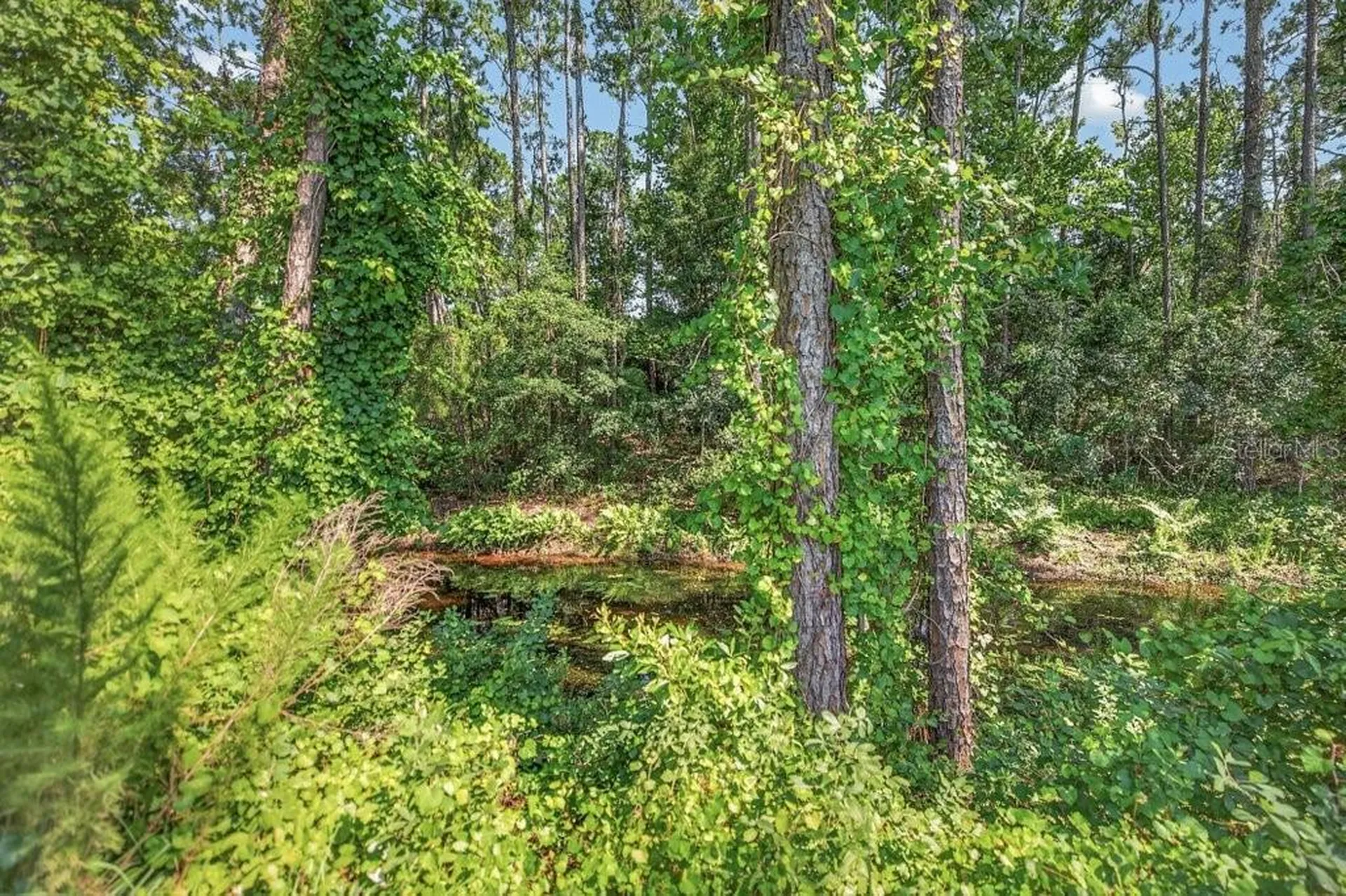 14 Woodworth Drive Palm Coast FL 32164