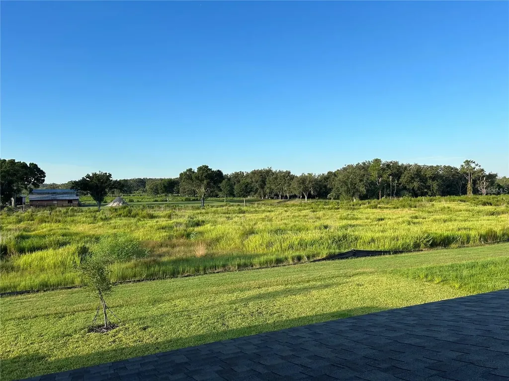13150 Wellspring Drive Lithia FL 33547