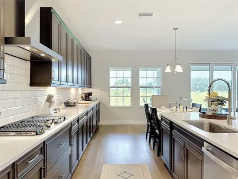 13150 Wellspring Drive Lithia FL 33547