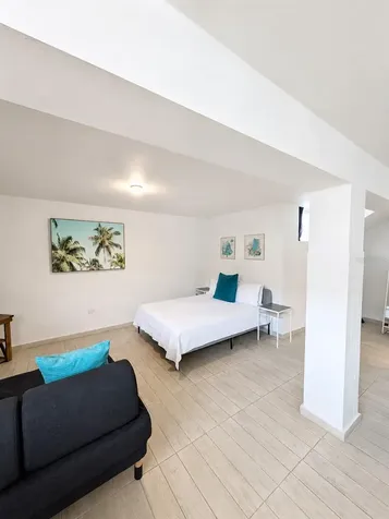 73 Calle Tapia San Juan PR 00911