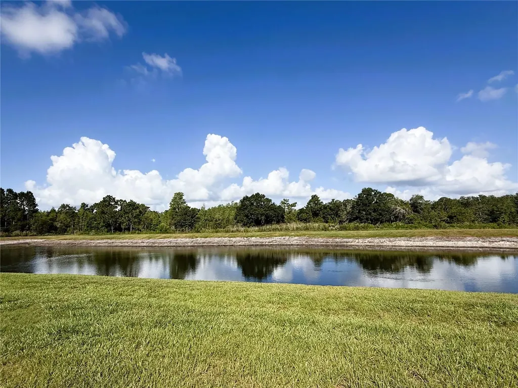 21640 Violet Periwinkle Drive Land O Lakes FL 34637