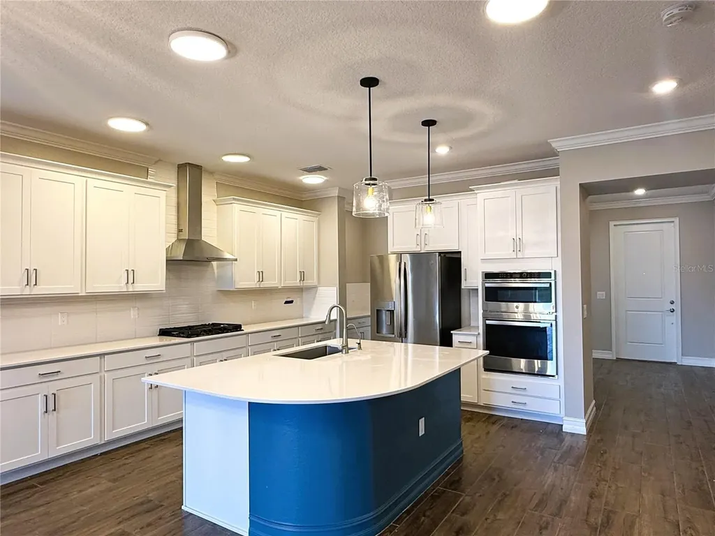 21640 Violet Periwinkle Drive Land O Lakes FL 34637
