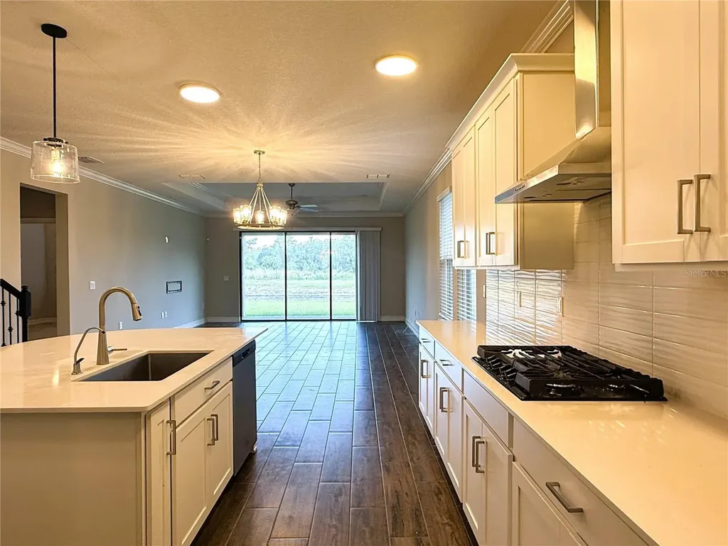 21640 Violet Periwinkle Drive Land O Lakes FL 34637