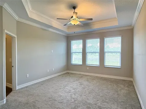 21640 Violet Periwinkle Drive Land O Lakes FL 34637
