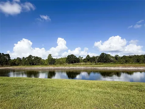 21640 Violet Periwinkle Drive Land O Lakes FL 34637