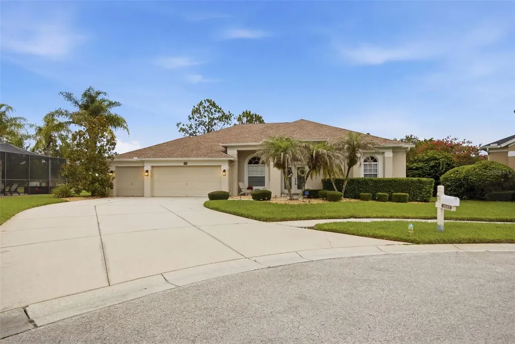 25651 Ferdinand Court Wesley Chapel FL 33544