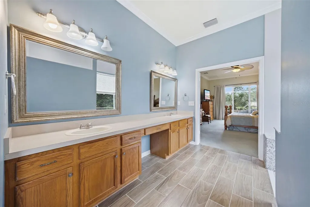 25651 Ferdinand Court Wesley Chapel FL 33544