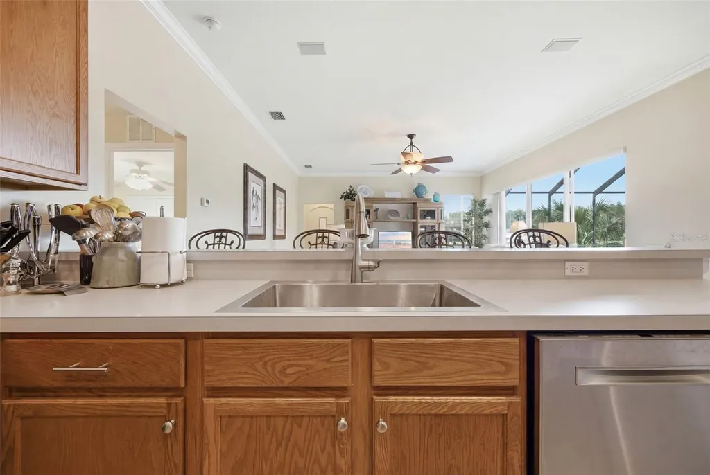 25651 Ferdinand Court Wesley Chapel FL 33544