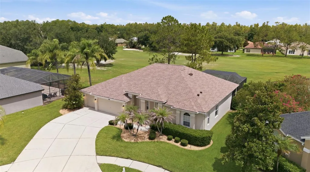 25651 Ferdinand Court Wesley Chapel FL 33544