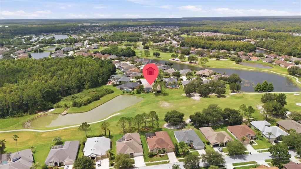 25651 Ferdinand Court Wesley Chapel FL 33544