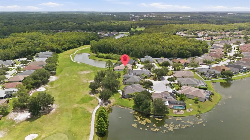 25651 Ferdinand Court Wesley Chapel FL 33544