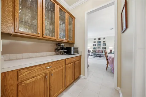 25651 Ferdinand Court Wesley Chapel FL 33544